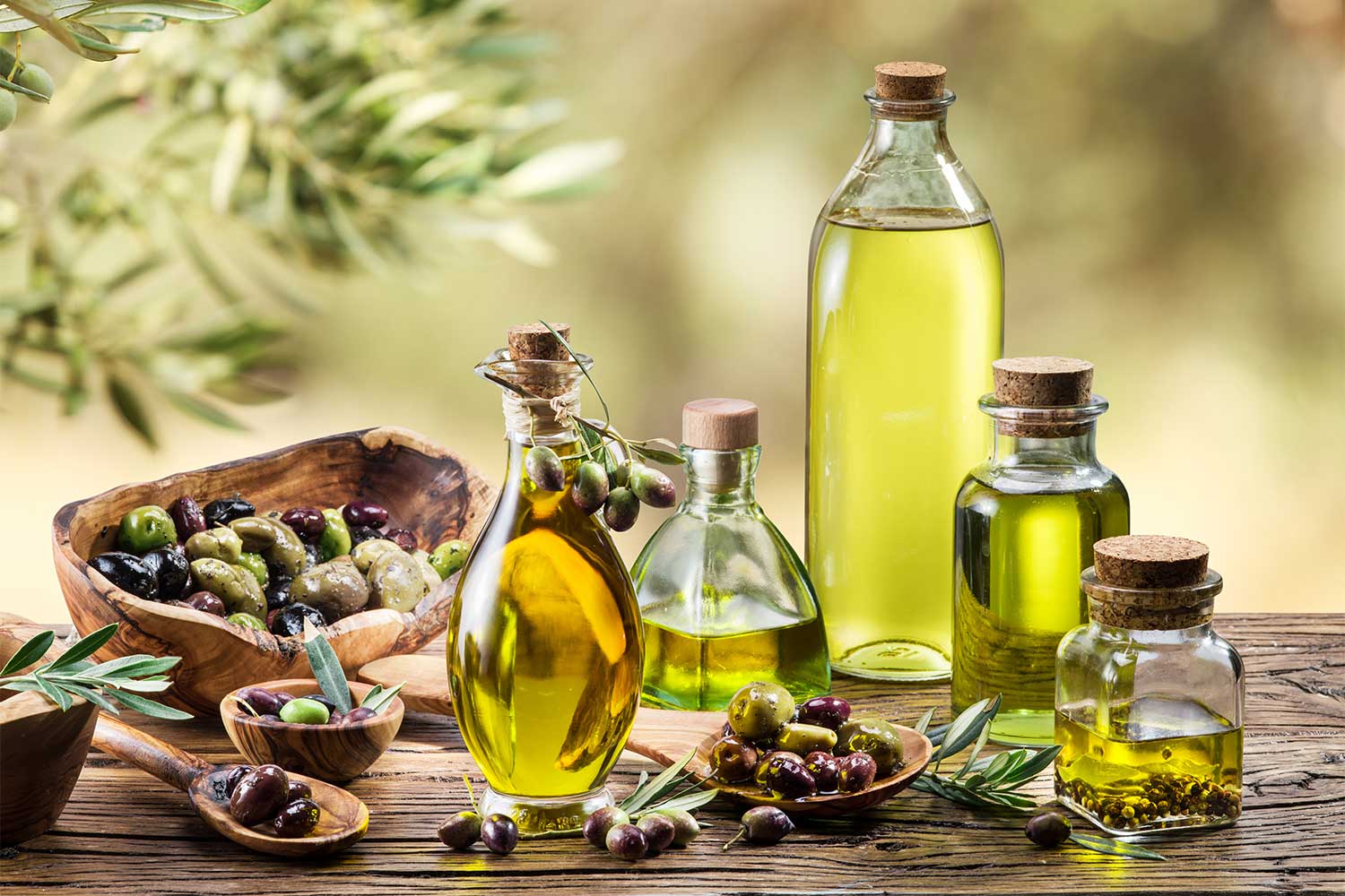 Making-Your-Own-Olive-Oil